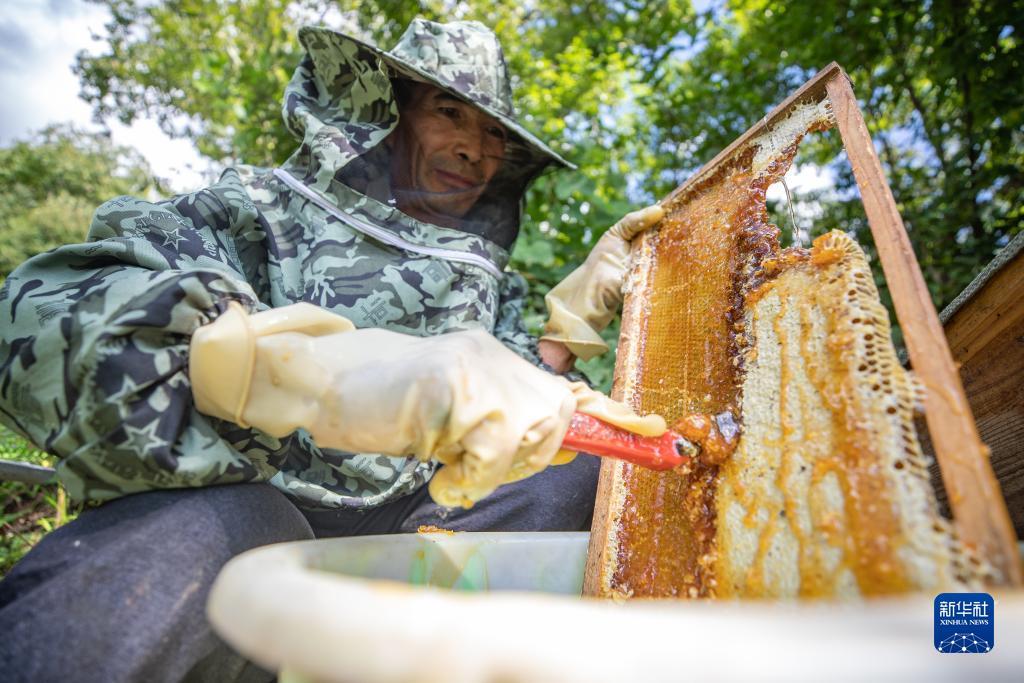 注册送礼金最多